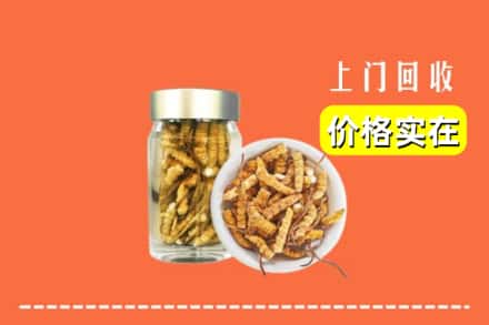 收购资讯:浑南区回收散虫草
