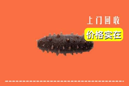 收购资讯:浑南区回收海参