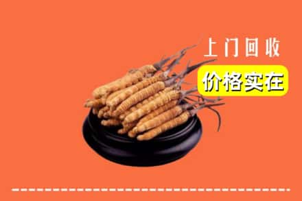 浑南区回收冬虫夏草