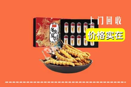 浑南区回收虫草