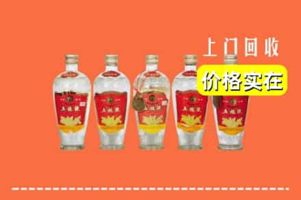 浑南区回收老五粮液